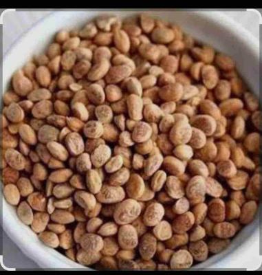 चिरौंजी 10g